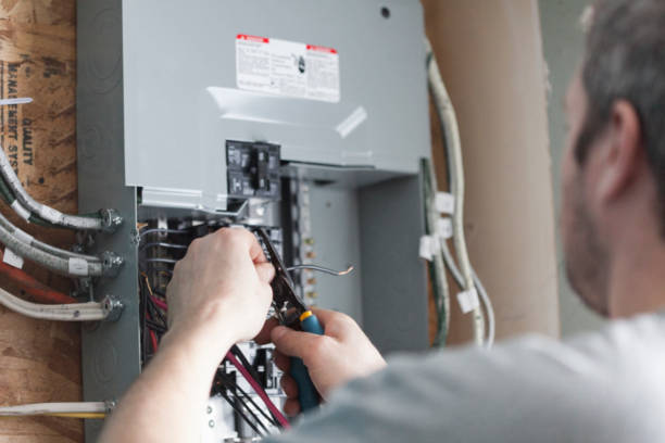 Best Electrical Panel Upgrades  in Tierra Verde, FL